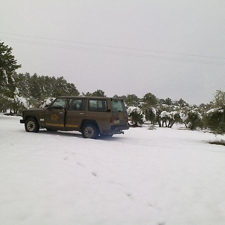El Picazo Casa Rural Las Tejas מראה חיצוני תמונה