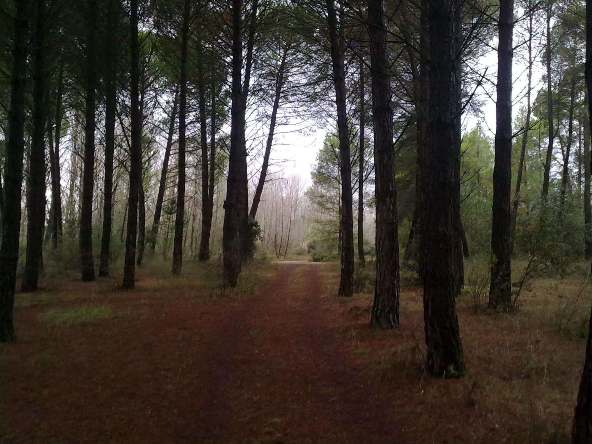 El Picazo Casa Rural Las Tejas מראה חיצוני תמונה