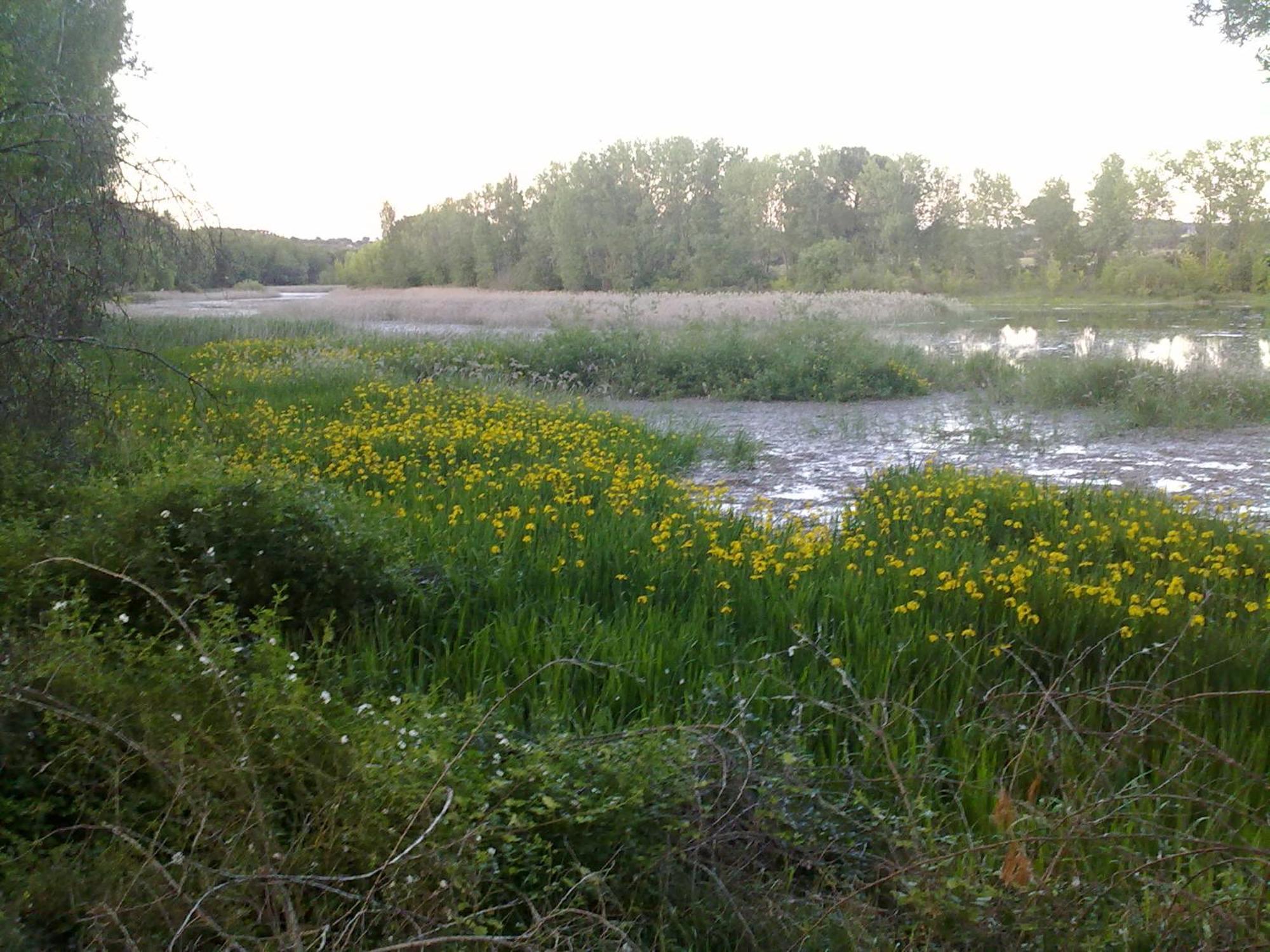 El Picazo Casa Rural Las Tejas מראה חיצוני תמונה