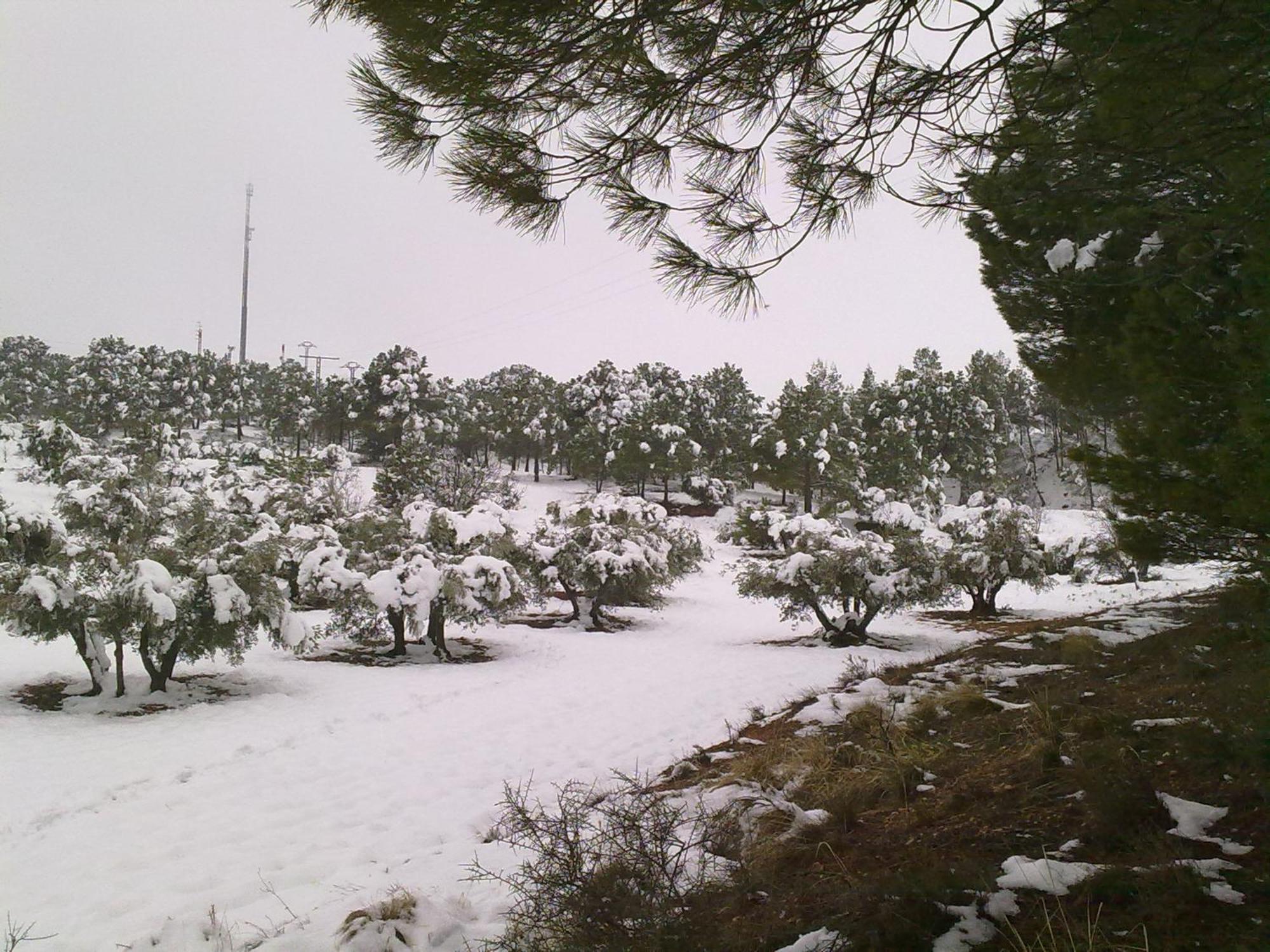 El Picazo Casa Rural Las Tejas מראה חיצוני תמונה