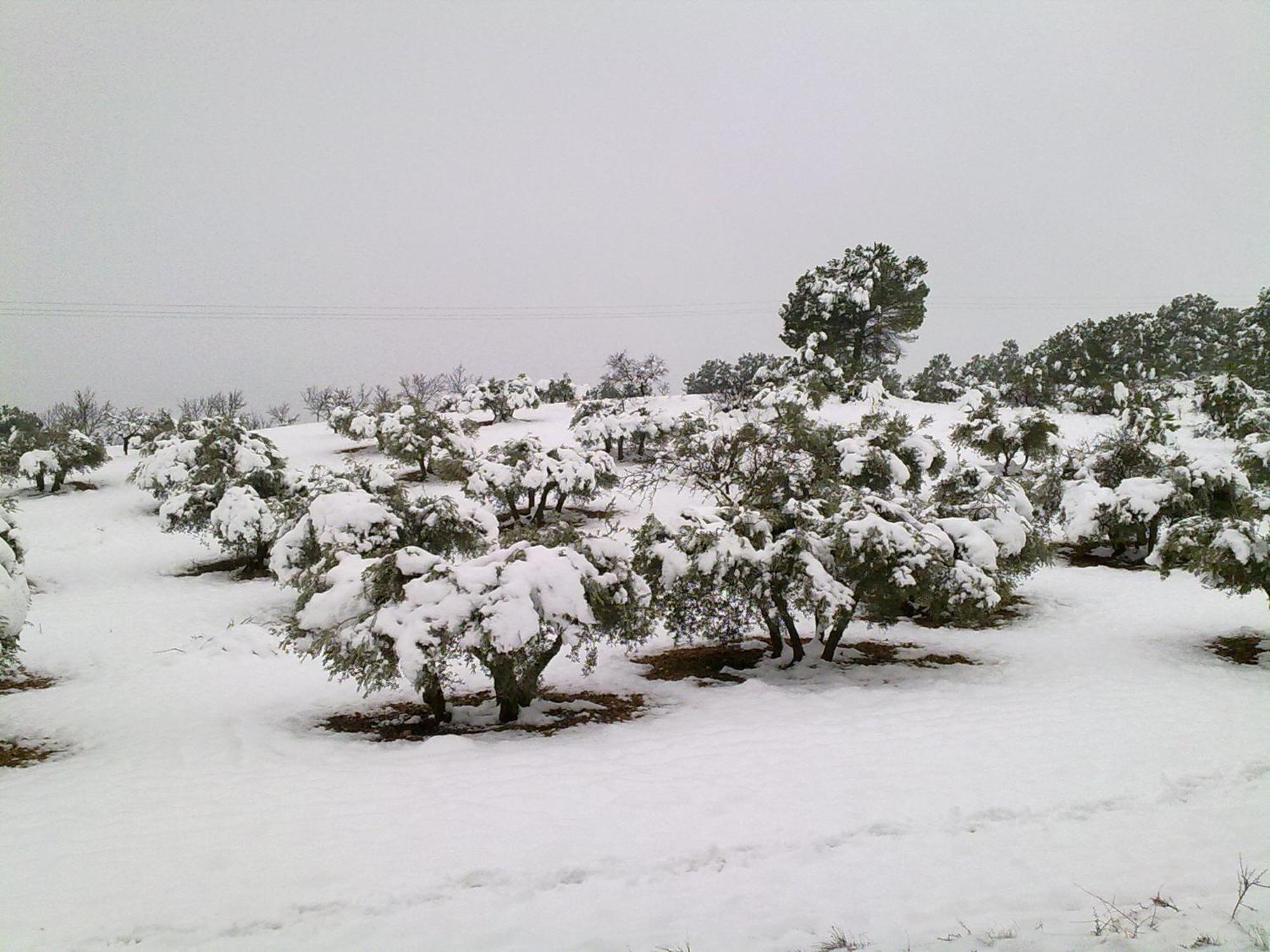 El Picazo Casa Rural Las Tejas מראה חיצוני תמונה