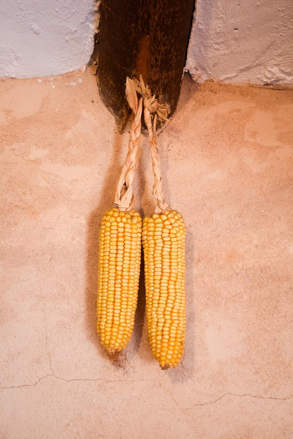 El Picazo Casa Rural Las Tejas מראה חיצוני תמונה